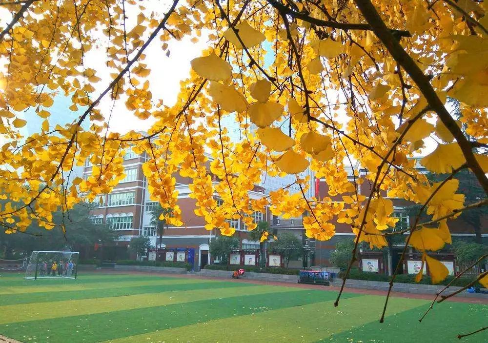 一纸温暖（散文）